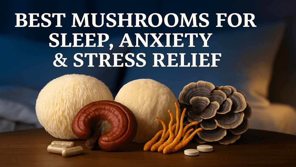 Best Mushrooms for Sleep, Anxiety & Stress Relief